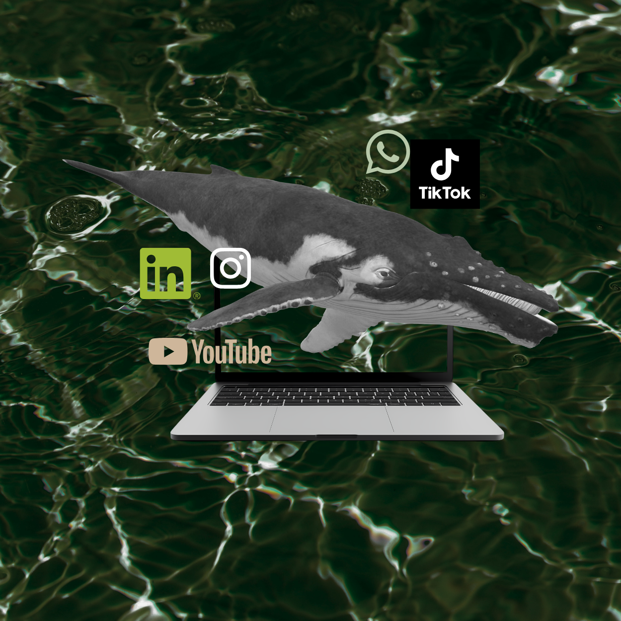 Social Media Kanäle werden analysiert